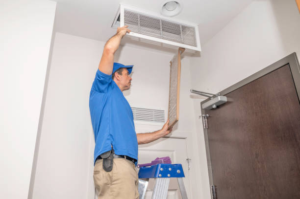 Best Professional Duct Cleaning Services  in St Helen, MI